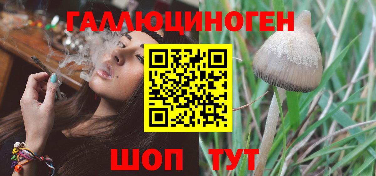 Галлюциногенные грибы MAGIC MUSHROOMS Всеволожск